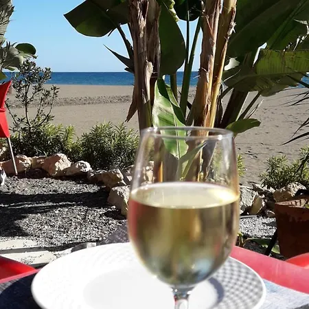 Campo Agave Bed & Breakfast 4*