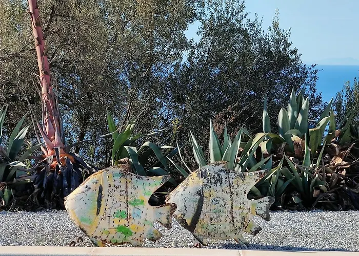 Campo Agave Sayalonga