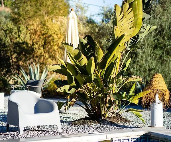 לינה וארוחת בוקר Campo Agave 4*