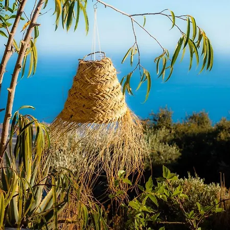 Campo Agave Bed & Breakfast