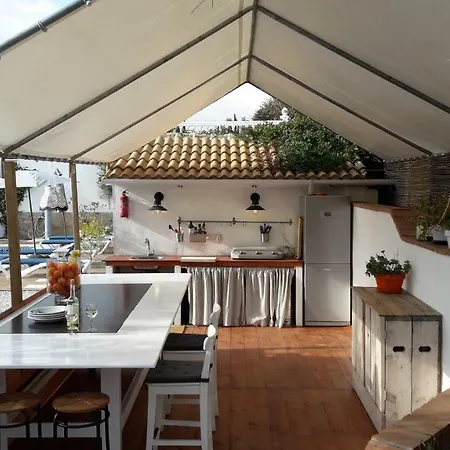 Campo Agave *
