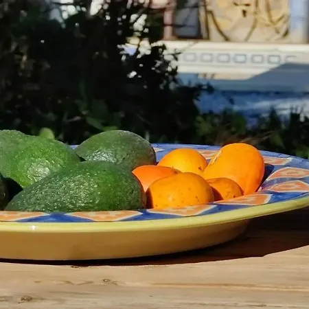 Oda ve Kahvaltı Campo Agave Sayalonga