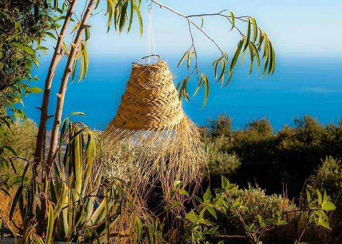 Campo Agave Bed & Breakfast